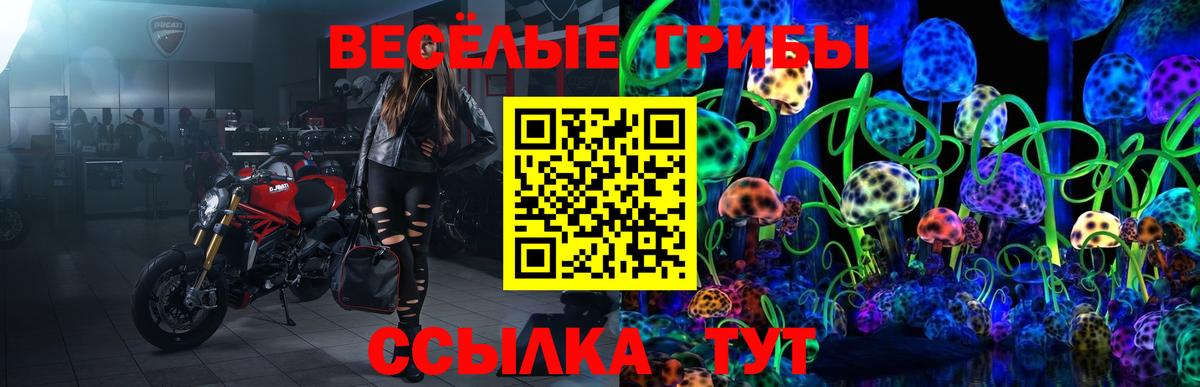 Галлюциногенные грибы прущие грибы Тайшет