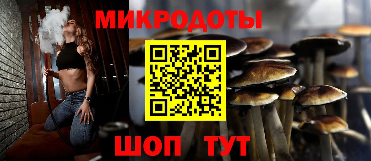 Тайшет  Галлюциногенные грибы Cubensis  цена   Псилоцибиновые грибы прущие грибы  Вход с VPN 